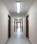 50"w Linear Vapor Tight 1-Light Integrated LED Light Strip [6 PACK] by RP Lighting