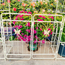 Metal Garden Arch with Gate 79.5'' Wide x 86.6'' High Climbing Plants Support Rose Arch Outdoor Cream White