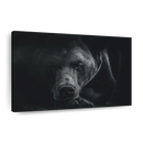 Monochrome Brown Bear Wall Art