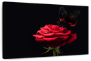 Butterfly Kissing The Rose Wall Art