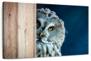 Peeking Owl Wall Art