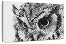 Staring Owl Wall Art