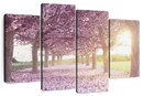 Cherry Blossom Morning Wall Art