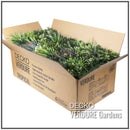 Artificial Plants Green Wall Panel - <b>EVERGREEN</b> - 1.6' x 1.6' - | DECKO VERDURE (2,56 sq. feet panel)