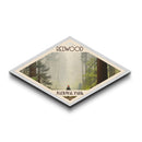 Redwood National Park Travel Poster Canvas Texture Print, Travel Decor, Midcentury Modern Retro Decor California Landscape