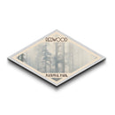 Retro Redwood National Park Travel Poster Canvas Texture Print, Travel Decor, Midcentury Modern Decor California Landscape