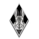 Curious Bunny Face Diamond Shaped Canvas Textured Print, Black and White Rabbit Animal Art, Minimalist Pet Lover Wall Decor