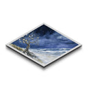 Moonlit Seaside Tree – Diamond Shaped Canvas Art Print mystical beach tree with shells ocean night sky moody coastal wall decor gift