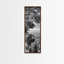 Mangrove Shoreline, Tree Reflections, Still Waters, Tranquil Escape, Black White Nature Framed Canvas Print, Zen Wall Art Entryway Decor