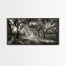 Oak Tree Path, Autumn Forest Glow, Nature Trail Photography, Framed Canvas Print, Hallway Wall Art, Earthy Decor, Woodland Art