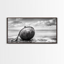 Weathered Buoy, Nautical Rope, Coastal Still Life, Beach Found Object, Framed Canvas Print, Beach House Art, Bathroom Wall Decor