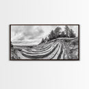 Striped Cliffs, Coastal Layers, Forest Edge, Earth Patterns, Framed Canvas Print, Nature Abstract Art, Bedroom Wall Decor