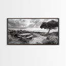 Picnic Table, Ocean Tree, Coastal Path, Windswept Scene, Framed Canvas Print, Rustic Wall Art, Fall Decor, Peaceful Beach Setting