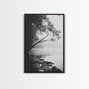 Misty Tree, Shoreline Fog, Forest Edge, Moody Atmosphere, Framed Canvas Print, Bedroom Wall Art, Autumn Woodland Style, Serene Nature Decor