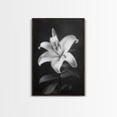 Elegant Lily, Black and White, Floral Beauty, Canvas Print, Botanical Wall Art, Minimalist Art, Bedroom Wall Decor, Nature Photography