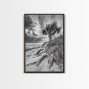 Palm Tree Beach, Coastal Dunes, Dramatic Sky, Framed Canvas Print, Tropical Wall Art, Boho Living Room Decor, Beach House Art