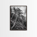 Windy Pines, Forest Landscape, Nature Photography, Framed Canvas Print, Rustic Wall Art, Cabin Decor, Minimalist Art, Fall Home Style