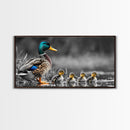 Duck Family, Pond Life, Nature Scene, Wildlife Photography, Canvas Print, Nursery Wall Art, Cute Animal Print, Nature Lover Gift Idea