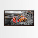 Bold Lobster, Nautical Art, Coastal Living, Red Claw, Framed Canvas Print, Beach House Wall Art, Kitchen Decor, Color Splash Style