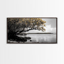 Mangrove Tree, Coastal Roots, Golden Leaves, Ocean View, Framed Canvas Print, Beach House Art, Nature Wall Decor, Minimal Coastal Vibe