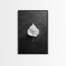 Monochrome Leaf, Nature Minimal, Still Life, Moody Art, Framed Canvas Print, Fall Wall Art, Kitchen Decor, Neutral Modern Aesthetic