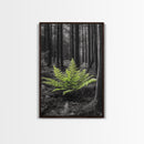 Green Fern, Forest Focus, Lush Nature, Woodland Light, Framed Canvas Print, Botanical Wall Art, Bedroom Decor, Minimalist Plant Art