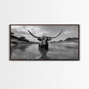 Longhorn in Water, rustic art, western decor, bull and bear art, cowboy wall art, farmhouse art, panoramic art, Framed Canvas Print