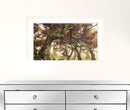 Fanal White Framed Print Wall Art