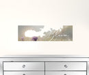Set Of Two Bloom Where You Are Planted 3 White Framed Print Wall Art