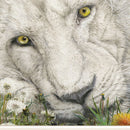 Dandy Lion 2 White Framed Print Wall Art