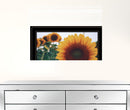 Midwest Livin II 3 Black Framed Print Wall Art