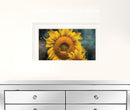 Floral Beauty II 1 White Framed Print Wall Art