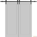 Quadro 4111 Matte Grey Double Barn Door and Black Rail