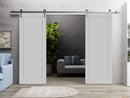 Quadro 4111 Matte Grey Double Barn Door and Silver Rail