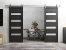 Quadro 4113 Matte Black Double Barn Door with Frosted Opaque Glass and Silver Rail