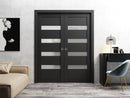 Quadro 4113 Matte Black Barn Door Slab with Frosted Opaque Glass
