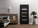 Quadro 4113 Matte Black Barn Door Slab with Frosted Opaque Glass