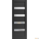 Quadro 4113 Matte Black Barn Door Slab with Frosted Opaque Glass