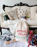 Merry and Bright Cotton Canvas Christmas Holiday Pillow Cover