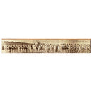 Bathing Beauties Jacksonville Florida 1927 | Wall Art Print on Real Wood