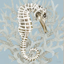 Coral Seahorse I 3 Black Framed Print Wall Art