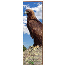 Nelson Wisconsin Red Tailed Hawk Home Decor Art Print on Real Wood
