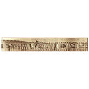 Short Beach Connecticut Bathing Beauties Home Decor Art Print on Real Wood Each
