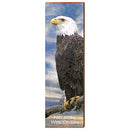 Nelson Wisconsin Bald Eagle Home Decor Art Print on Real Wood
