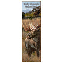 Moose in Rocky Mountain National Park Home Decor Art Print on Real Wood