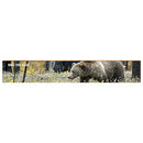 Grizzly Bear in Denali Park Alaska Home Decor Art Print on Real Wood Each