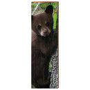 Seven Devils Black Cub Home Decor Art Print on Real Wood
