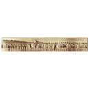 Bathing Beauties Surfside Beach Home Decor Art Print on Real Wood Each