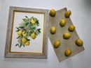 Bright Lemons R2054 Counted Cross Stitch Kit