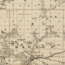 Vintage Map of Linn County, Iowa 1875